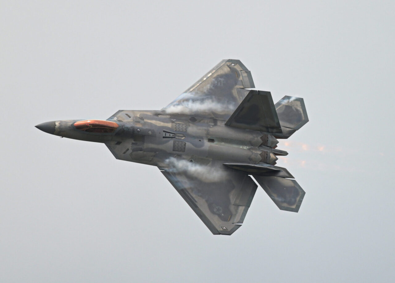 F-22는 러시아 MIG-21 및 MIG-29 제트와 함께 드문 형성으로 날아 갔다.
